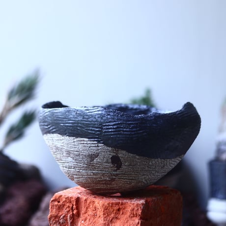 CATEGORY たけろうポット | 芽の巣山