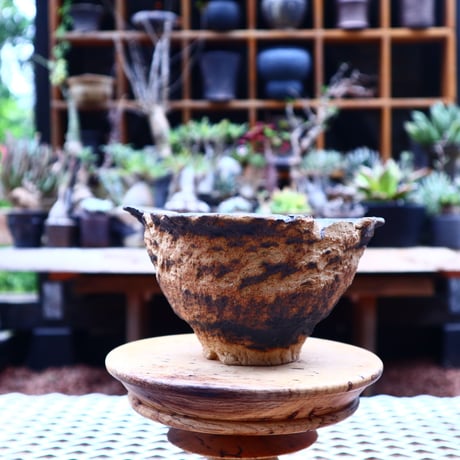 Ricca Okano 〝solaris″   /   humanity pot       no.563