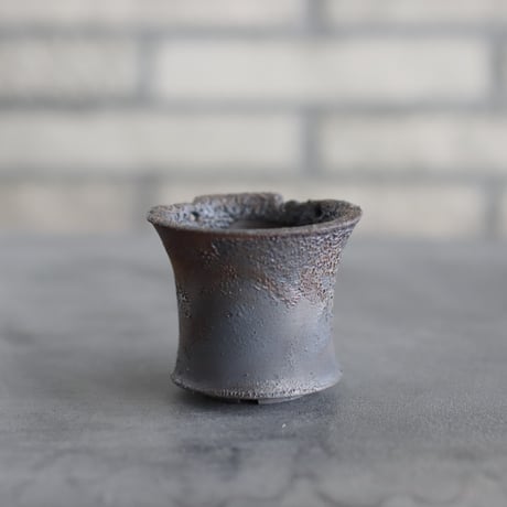 TAKERO POT / モミ / (2.5号) no.1116-76