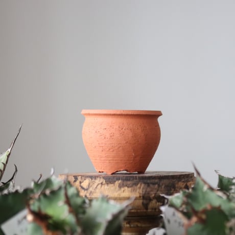 N/OH / コロ鉢 / persimmon + Moon / XS   no.421-129