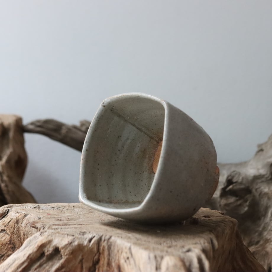 66ee5ff7b2c71d0a9003dd95