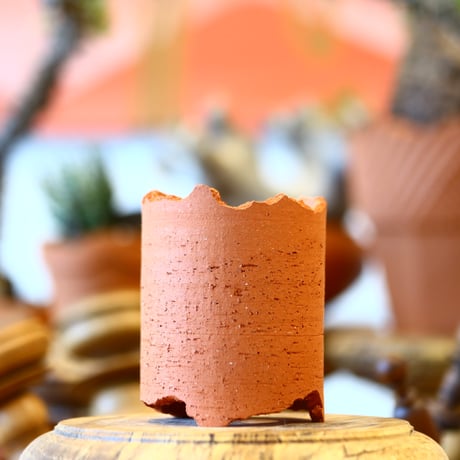 N/OH / Cylinder / Persimmon + Line / XS   no.317-178
