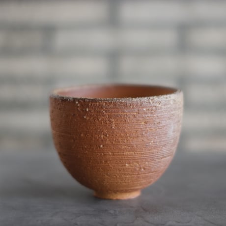 CATEGORY たけろうポット | 芽の巣山