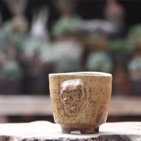 Andrew  Gemrich〝calavera″／humanity pot  no1002131