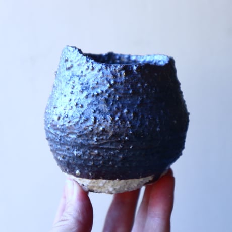 HAKASEPOT   SHIROTSUBU   /  black       no.21615