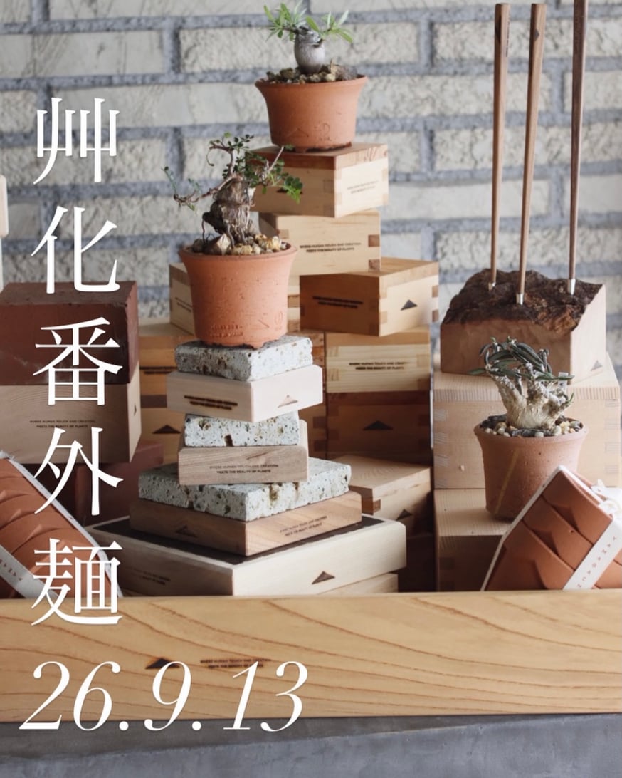 NEWS | 芽の巣山