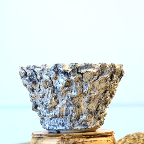 Yuta Uchida / silver rust monst / humanity pot    no.1231-83
