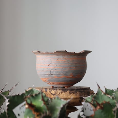N/OH / MARBLE NOHBLE / コロ鉢 / SS   no.421-42