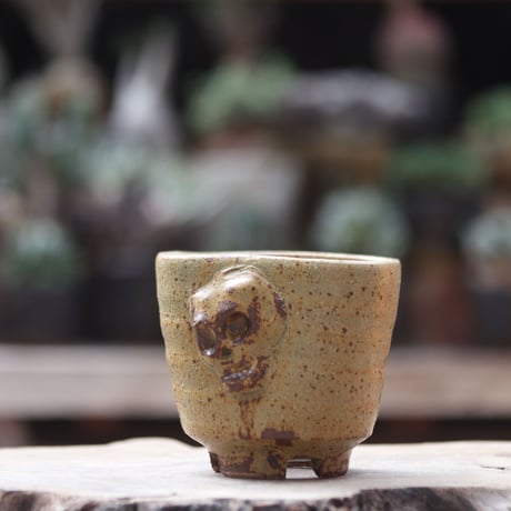 Andrew  Gemrich〝calavera″／humanity pot  no1002135