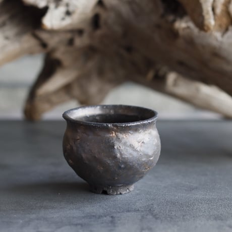 TAKERO POT / Tsubo / Tetsu  (2.5号)   no.525-55