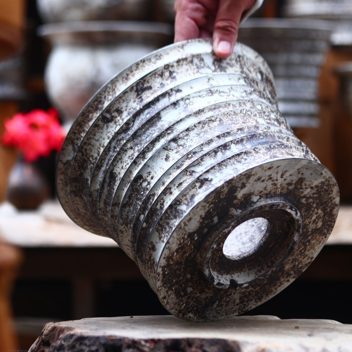 たけろうポット / 大鉢 / シロサビ no.612-T11 | 芽の巣山