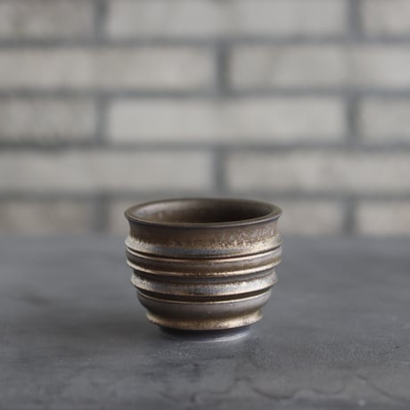 CATEGORY たけろうポット | 芽の巣山