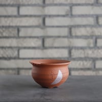 N/OH / ラン鉢 / Strokes / B.B. / SS (3.5号) no.222