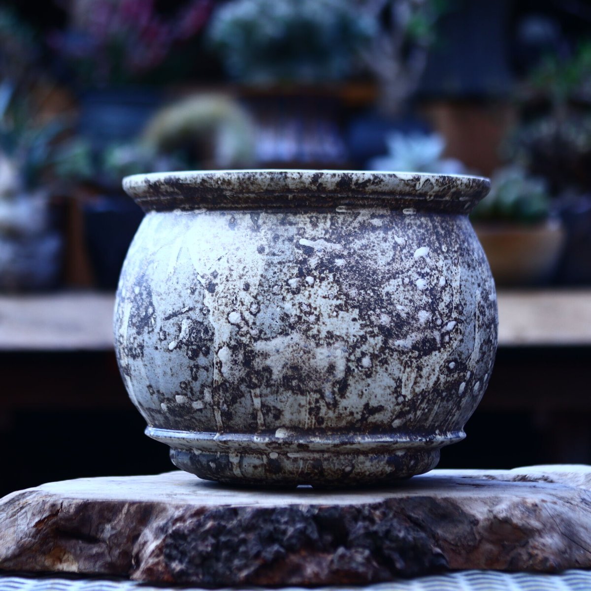 たけろうポット　大きめ鉢 たけろうポット 大鉢 / 壺 / シロサビ no.1226-02 | 芽の巣山