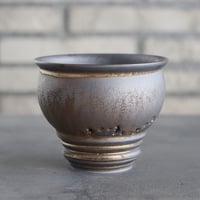 takero pot / mushikui / テツ (2.5号)  no.531-12