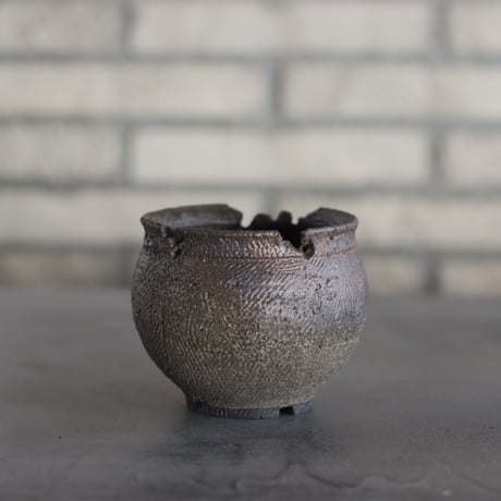 CATEGORY たけろうポット | 芽の巣山