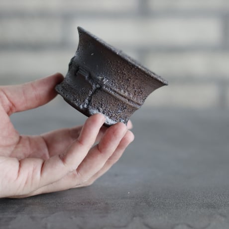 TAKERO POT / モミ / (2.5号) no.1116-74