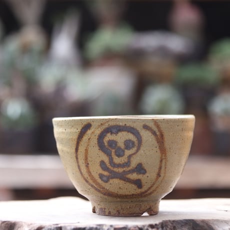 Andrew  Gemrich〝calavera″／humanity pot  no1002121