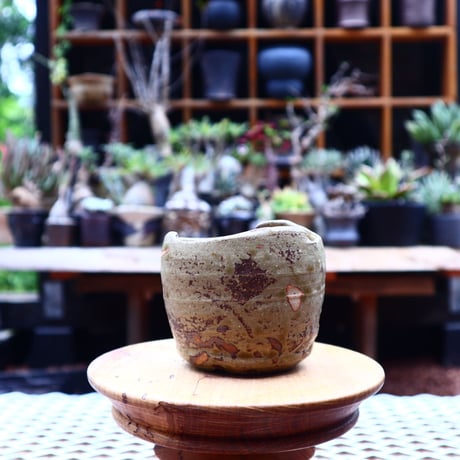 Mie  Maeda 〝genya″   /   humanity pot       no.540