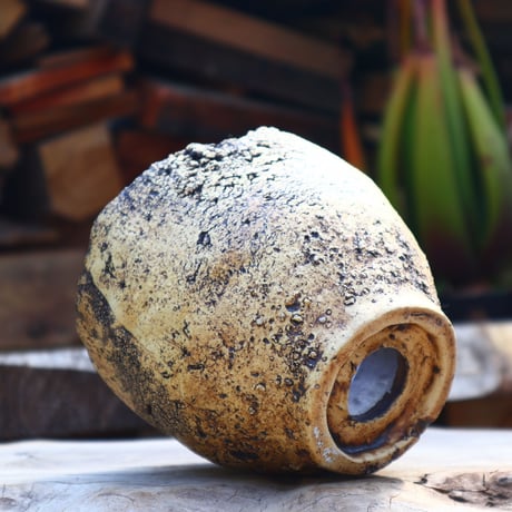 Kaori Ono〝gaia″／humanity pot    no50866
