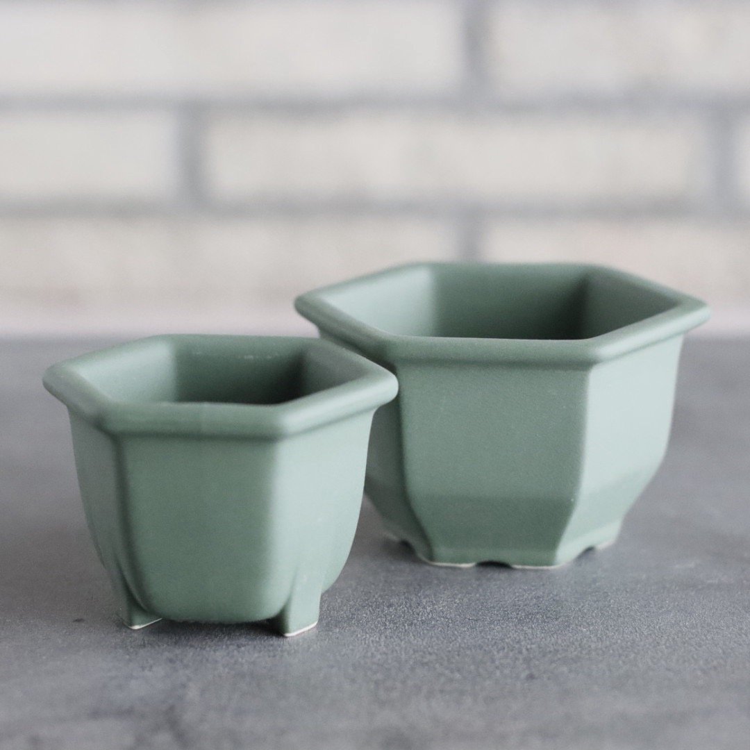 Konect / nos pot / Green no.628-5 | 芽の巣山