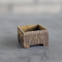 KEI CONDO (盆栽鉢1.5号) / twinz bonsai  no.1116-86