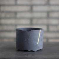 早い者勝ち特価！ 長期管理 現地球 ケラリア ピグマエア 中川智治 作家鉢 Ceraria pygmaea × 山山 特別共作鉢 (安西岳郎 × 中川智治) (3.5