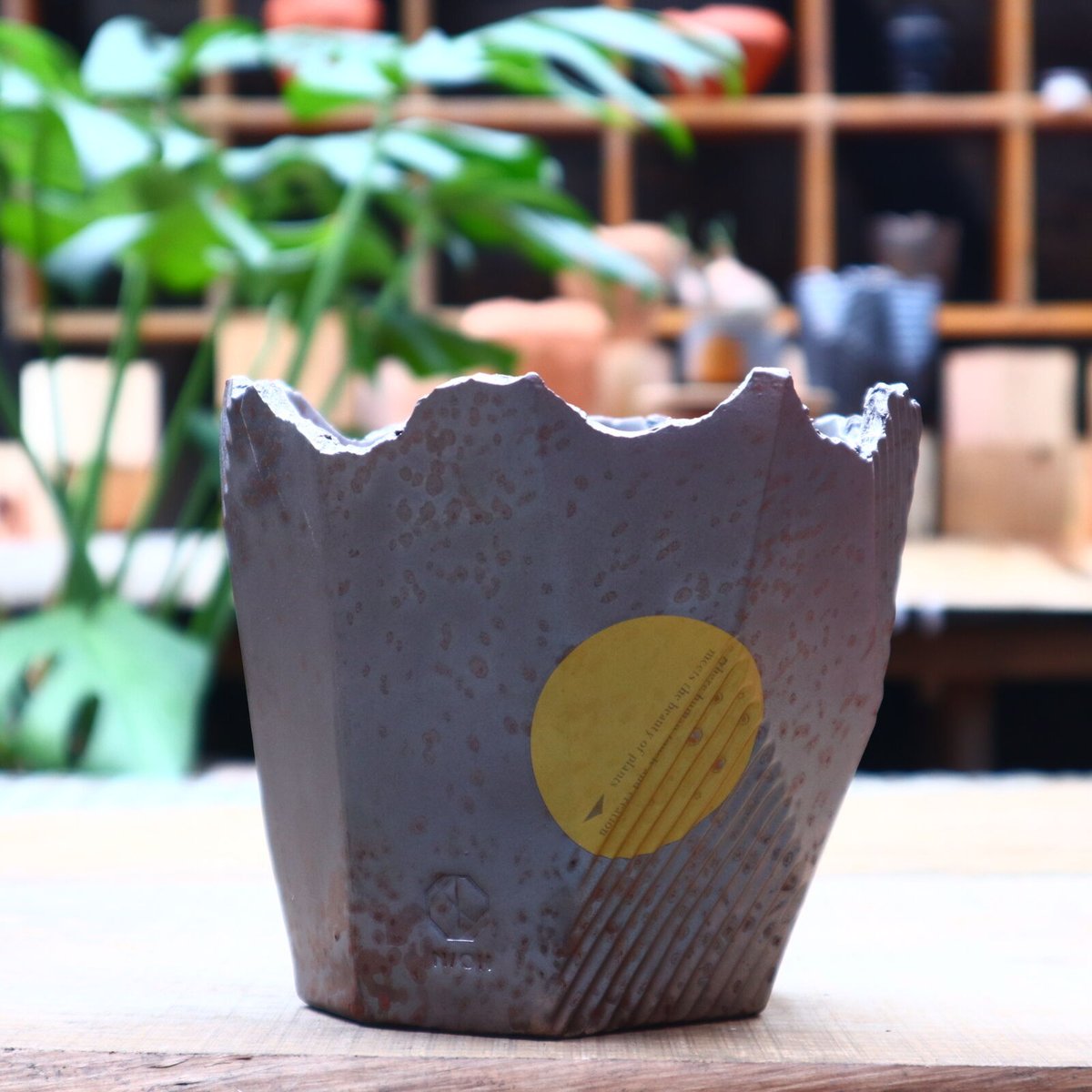 N/OH 澪標 山ノ月 グレー SSサイズ fit=scale-down,w=1200