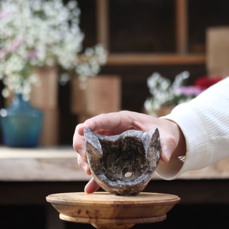 【TENN】Pot / TAKERO POT  no.1225/116