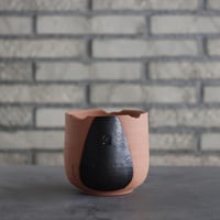 ケラリア ピグマエア／Ceraria pygmaea no.20504 | 芽の巣山