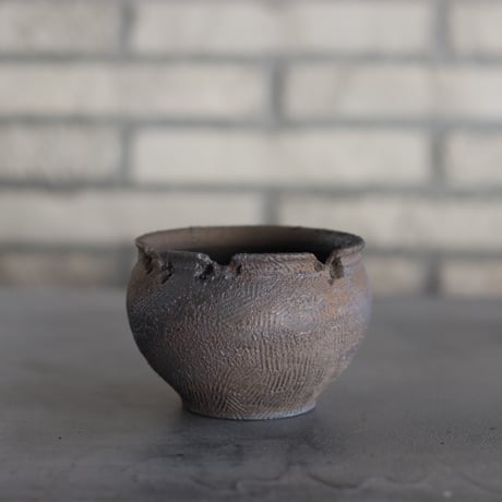 CATEGORY たけろうポット | 芽の巣山