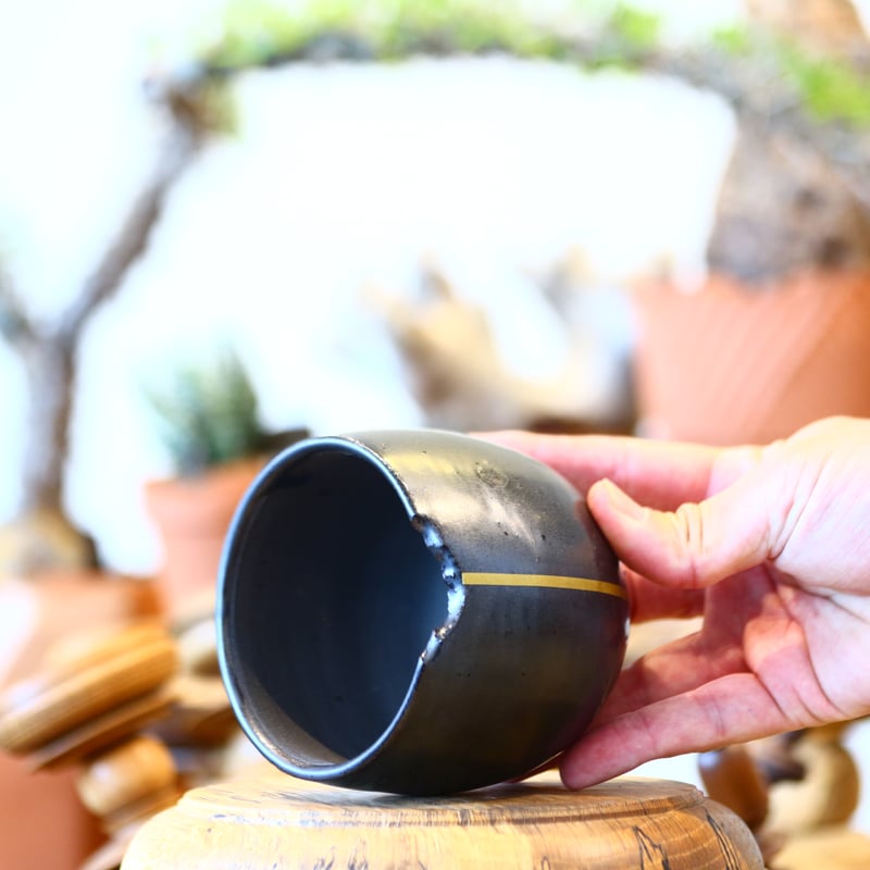 N/OH / コロ鉢 / Black + Line / SS no.317-5 | 芽の巣山