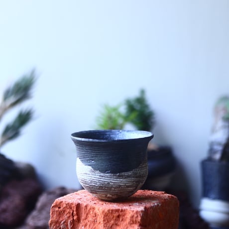 たけろうポット 安西岳郎 芽の巣山 大鉢 たけろうポット 安西岳郎 大鉢 CATEGORY joint pot 安西 桂 × たけろう |