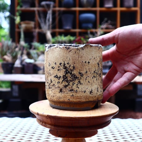 Kaori  Ono 〝 gaia″   /   humanity pot       no.528