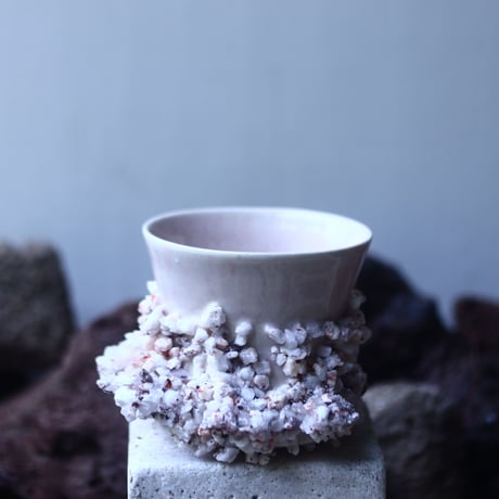 【HAKASEPOT 】〝BREAK I POT″  /  momo   M   予約販売
