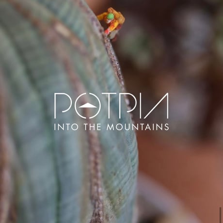 POTPIA / INTO THE MOUNTAINS / 5体 SET BOX  no.504/1