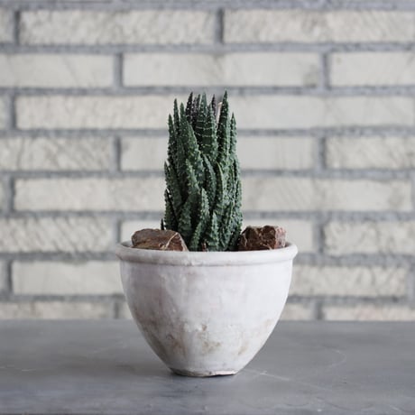 CATEGORY 2025/9/20 20:00~ | 芽の巣山