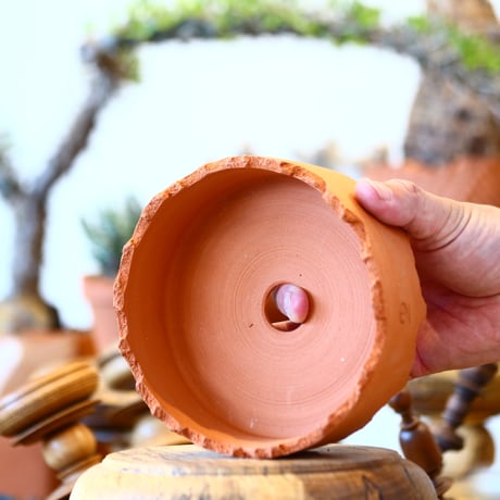 N/OH / Cylinder / Persimmon / SS    no.317-28