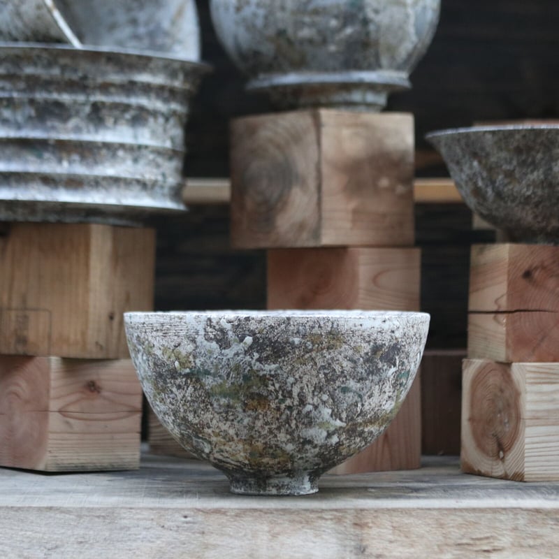 たけろうポット 大鉢 シロサビ 限定鉢