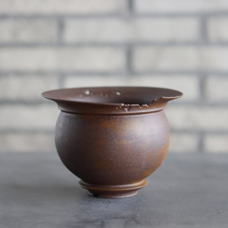 CATEGORY たけろうポット | 芽の巣山