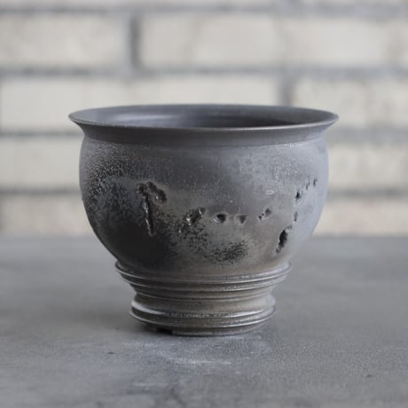 CATEGORY 4号鉢 | 芽の巣山