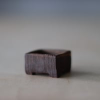 KEI CONDO (盆栽鉢1.5号) / twinz bonsai  no.913-87