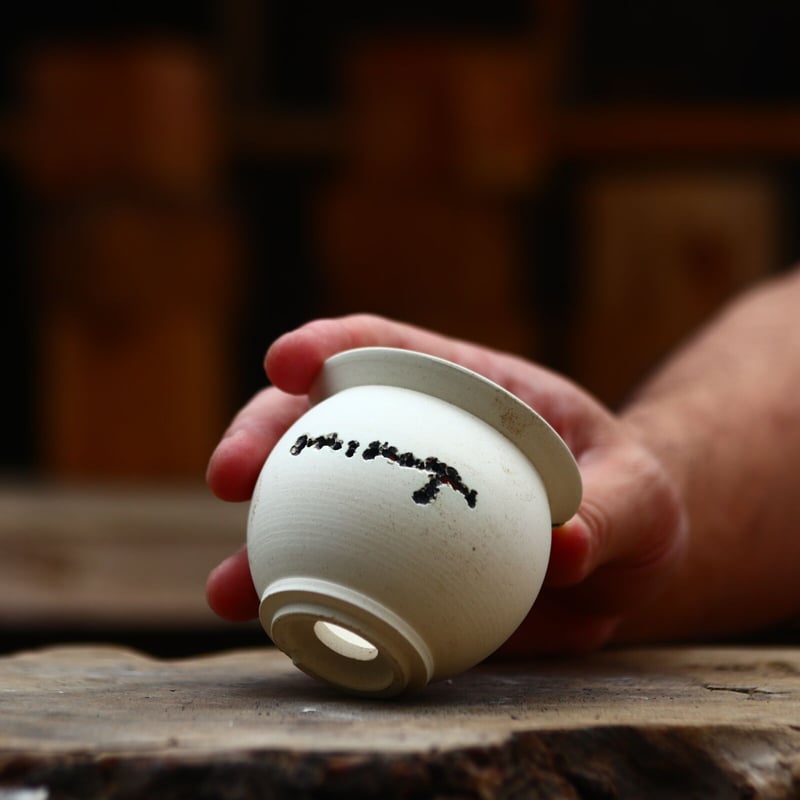 たけろうポット/ハク/ムシクイset (マメツボ) no.402-92 | 芽の巣山