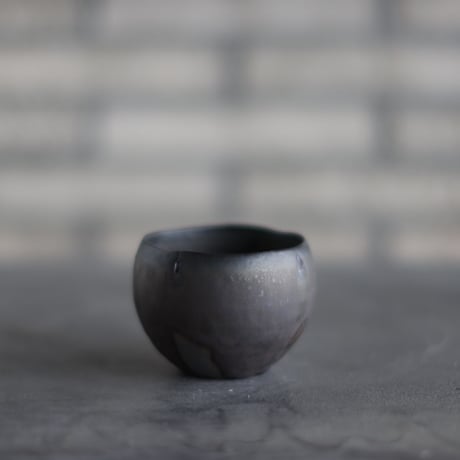 CATEGORY humanity pot | 芽の巣山