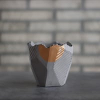 キフォステンマ マクロプス / Cyphostemma uter var. macropus