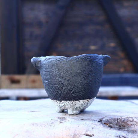 □芽の巣山購入 安西桂 鉢6500 CATEGORY joint pot 安西 桂 × たけろう | 芽の巣山