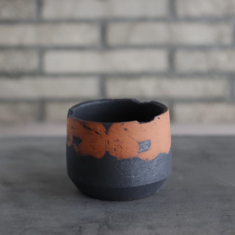 CATEGORY N/OH | 芽の巣山