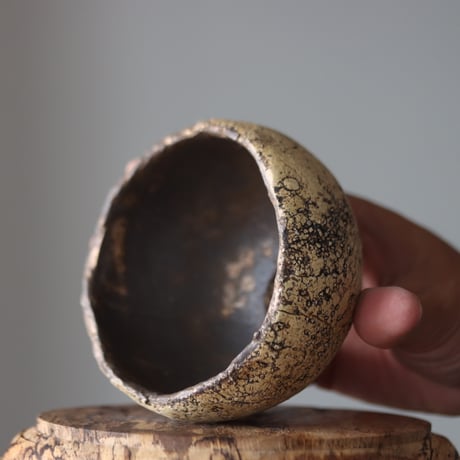 Kaori Ono / gaia / humanity pot   no.818-32