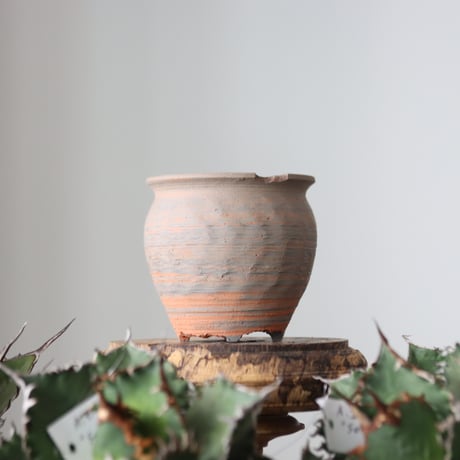 N/OH / MARBLE NOHBLE / コロ鉢 / SS   no.421-43