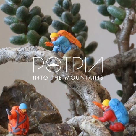 POTPIA / INTO THE MOUNTAINS / 5体 SET BOX  no.504/1